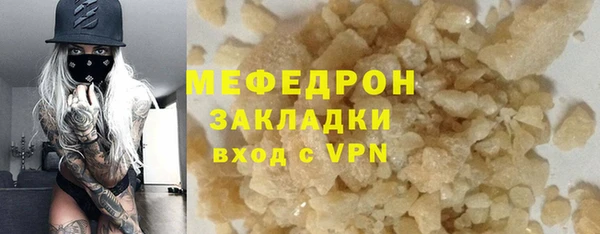 индика Горнозаводск
