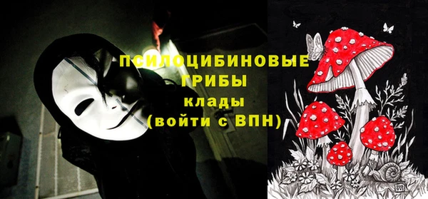спиды Вязники