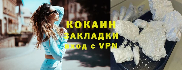 индика Горнозаводск