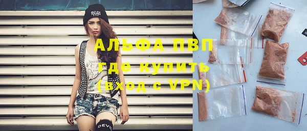 индика Горнозаводск