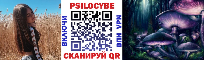Купить  Краснообск  Псилоцибиновые грибы мицелий 